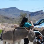 Laughlin_0046 (April 20, 2013)